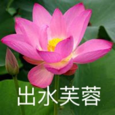 传送rpg手机版下载